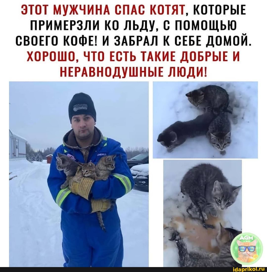 ЭТОТ МУЖЧИНА СПАС КОТЯТ, КОТОРЫЕ ПРИМЕРЗЛИ КО ЛЬДУ, С ПОМОЩЬЮ СВОЕГО КОФЕ! И ЗАБРАЛ К СЕБЕ ДОМОЙ.
ХОРОШО, ЧТО ЕСТЬ ТАКИЕ ДОБРЫЕ И НЕРАВНОДУШНЫЕ ЛЮДИ!