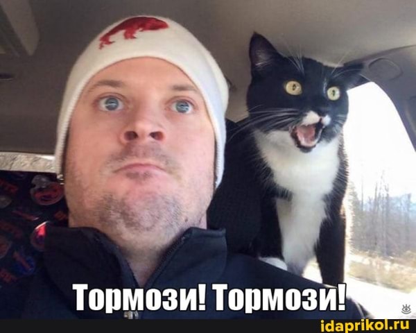 Тормози! Тормози!