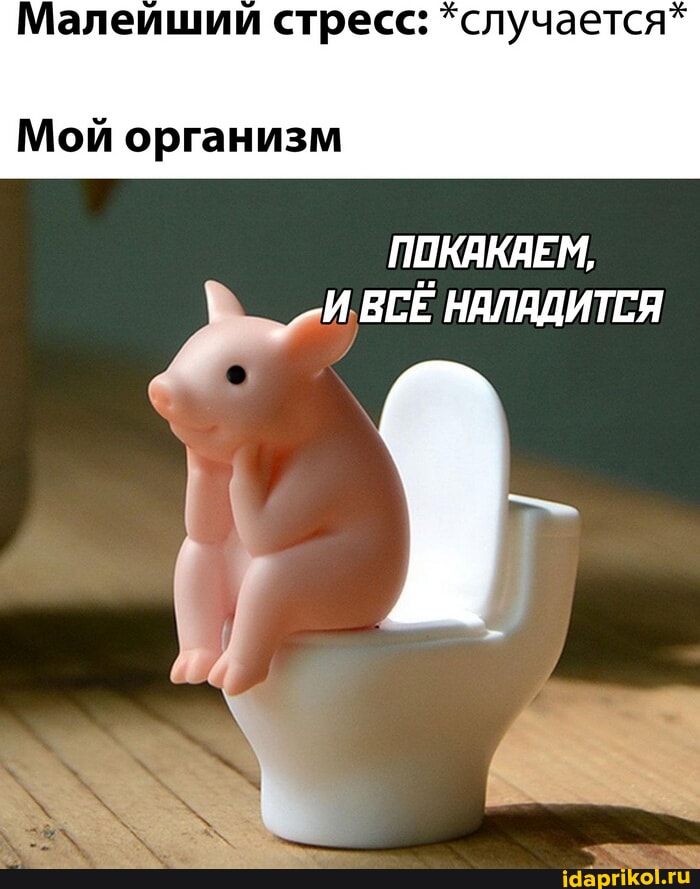 ххх Маша Алалыкина Максим Порно веб-камерада тыңшылық жасады