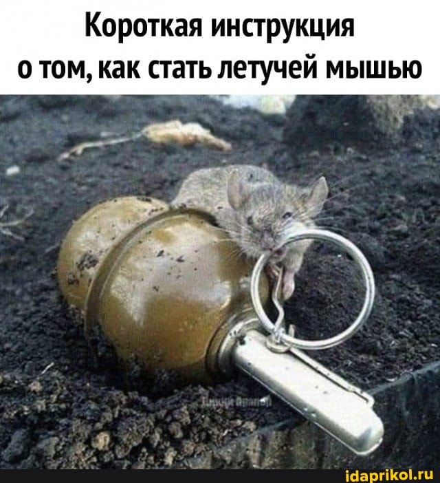 Короткая инструкция о том, как стать летучей мышью
