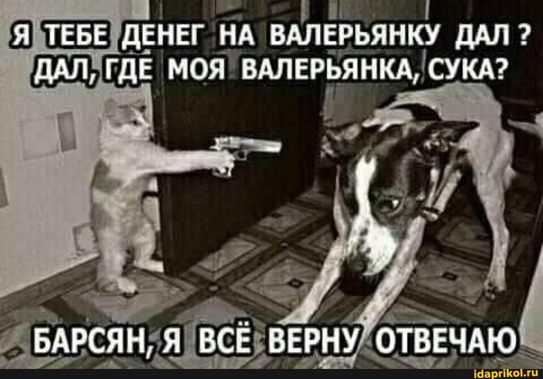 Я ТЕБЕ ДЕНЕГ НА ВАЛЕРЬЯНКУ ДАЛ ?
ДАЛ, ГДЕ МОЯ ВАЛЕРЬЯН} СУКА?
БАРСЯН, Я ВСЕ ВЕРНУ ОТВЕЧАЮ