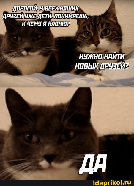 ДВРОГИЙ, ВСЕХ НАШИХ ДРУЗЕЙ ЧЖЕ ДЕТИ. ПВНИМЯЕШЬ,
К ЧЕМУ Я КЛОНН?
НУЖНО НАЙТИ НИВЫХ ДРУЗЕЙ?