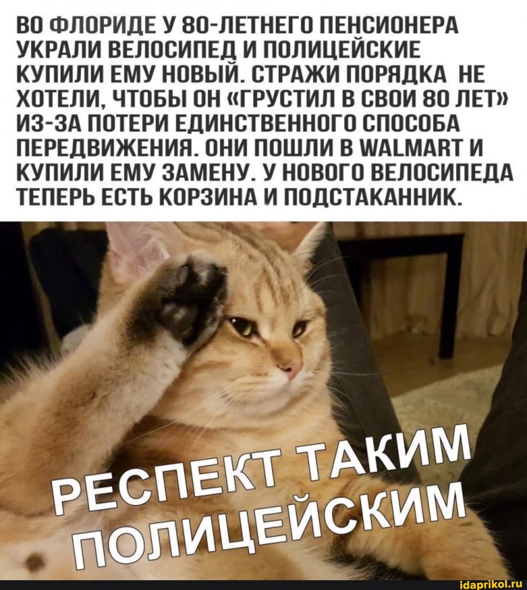 ВО ФЛОРИДЕ У 80-ЛЕТНЕГО ПЕНСИОНЕРА УКРАЛИ ВЕЛОСИПЕД И ПОЛИЦЕИСКИЕ КУПИЛИ ЕМУ НОВЫИ. СТРАЖИ ПОРЯДКА НЕ ХОТЕЛИ, ЧТОБЫ ОН "ГРУСТИЛ В СВОИ 80 ЛЕТ"
ИЗ-ЗА ПОТЕРИ ЕДИНСТВЕННОГО СПОСОБА ПЕРЕДВИЖЕНИЯ. ОНИ ПОШЛИ В МАЕМААТИ КУПИЛИ ЕМУ ЗАМЕНУ. У НОВОГО ВЕЛОСИПЕДА ТЕПЕРЬ ЕСТЬ КОРЗИНА И ПОДСТАКАННИК.
ТАКИМ
