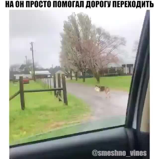 НА ОН ПРОСТО ПОМОГАЛ ДОРОГУ ПЕРЕХОДИТЬ