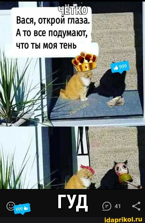 Вася, открой глаза.
А то все подумают, что ты моя тень