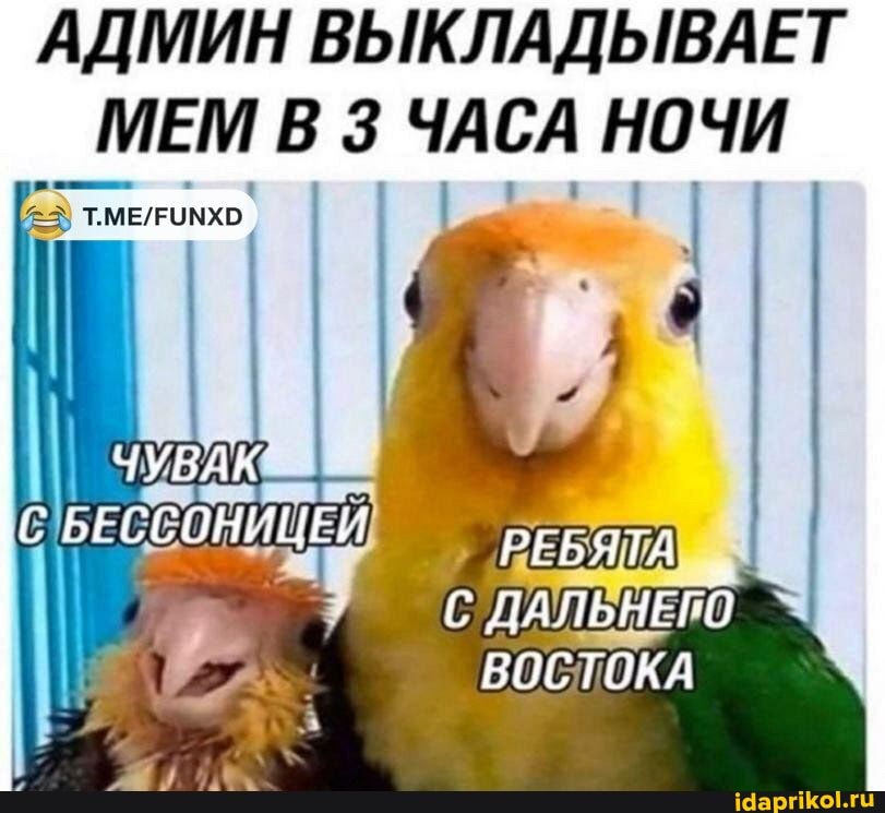 АДМИН ВЫКЛАДЫВАЕТ
МЕМ В 3 ЧАСА НОЧИ
ЧУБАК БЕССОНИЦЕИ РЕБЯТА
ЛАЛЬНЕГО ВОСТОКА