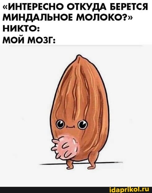 "ИНТЕРЕСНО ОТКУДА БЕРЕТСЯ МИНДАЛЬНОЕ МОЛОКО?" никто:
МОЙ МОЗГ: