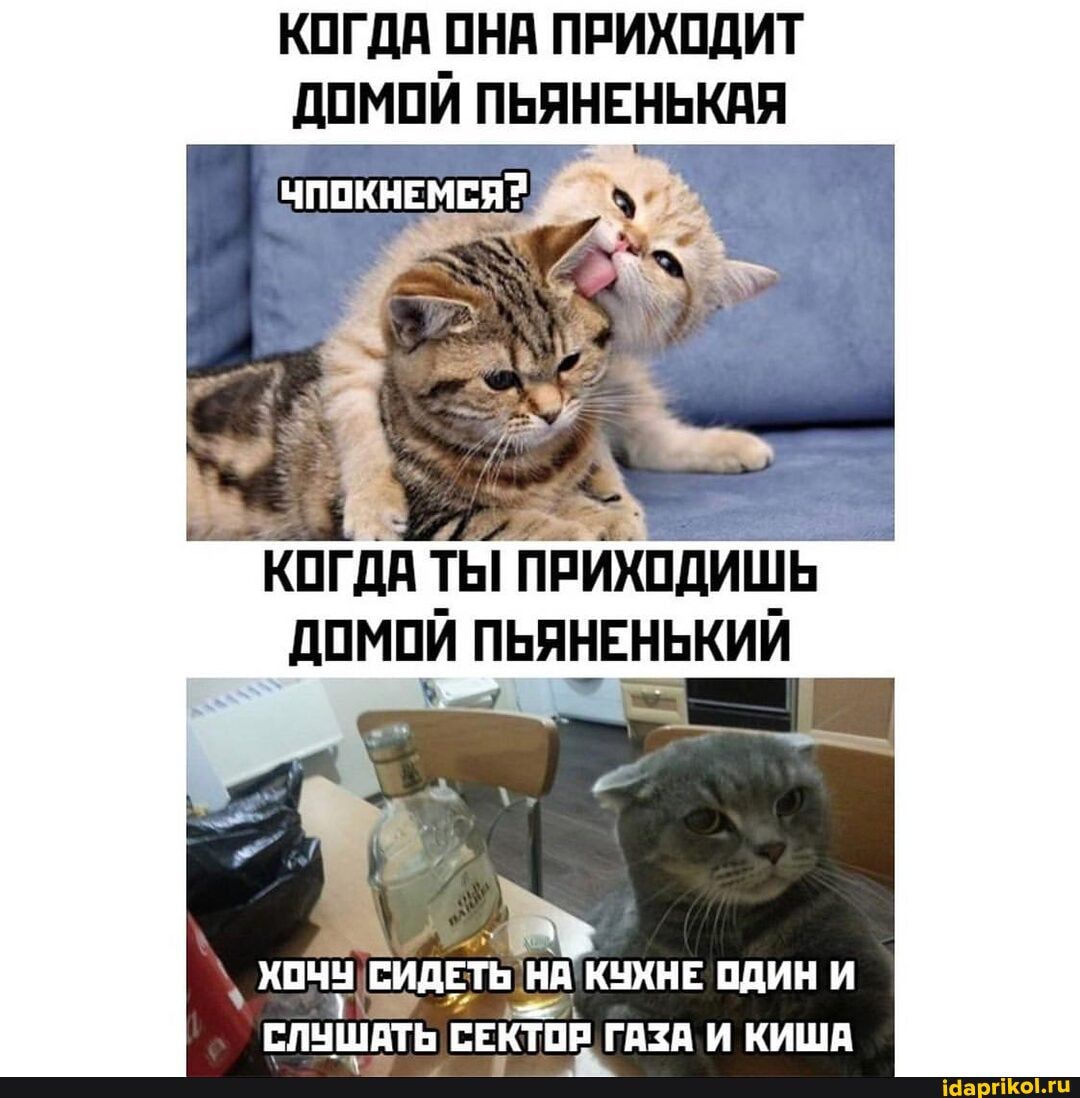 КОГДА ОНА ПРИХОДИТ ДОМОЙ ПЬЯНЕНЬКАЯ
ЧПОКНЕМСЯЯ
`КОГДА ТЫ ПРИХОДИШЬ ДОМОЙ ПЬЯНЕНЬКИЙ
' хочу СИДЕТЬ СЛУШАТЬ СЕКТОР ГАЗА И КИША