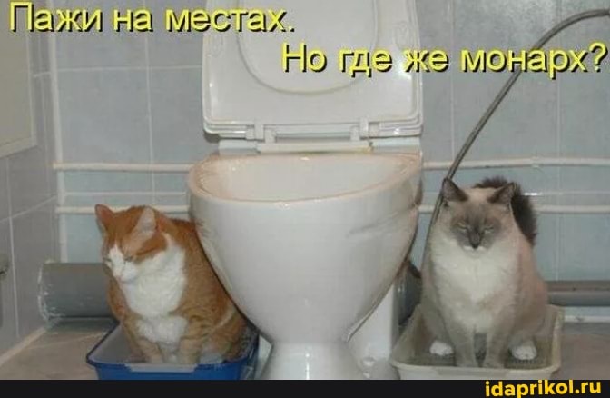 Пазки на, местах.
Но где же