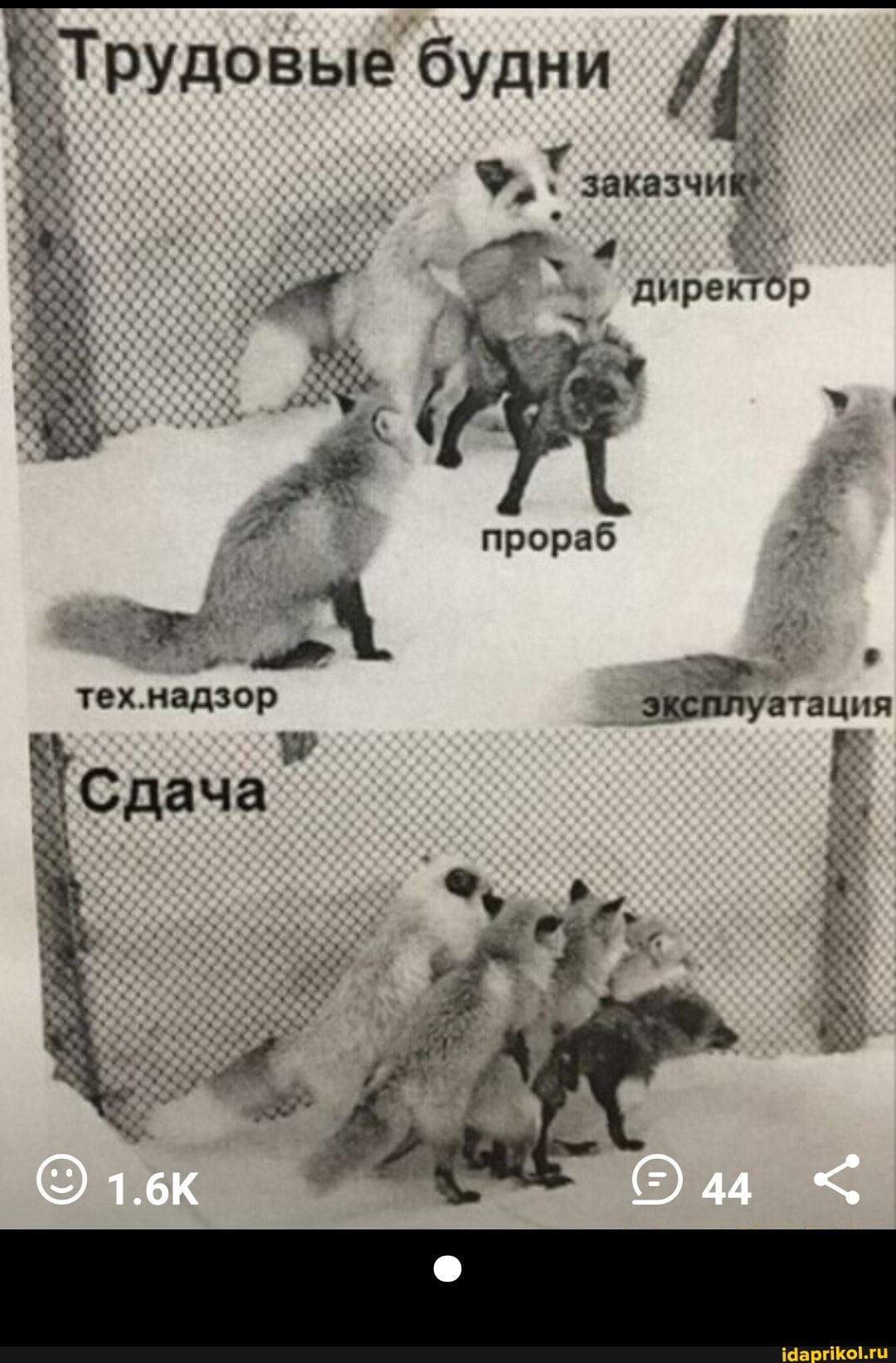ТРУ
довые 'будни
прораб
тех. надзор тация сдача"
Сдача