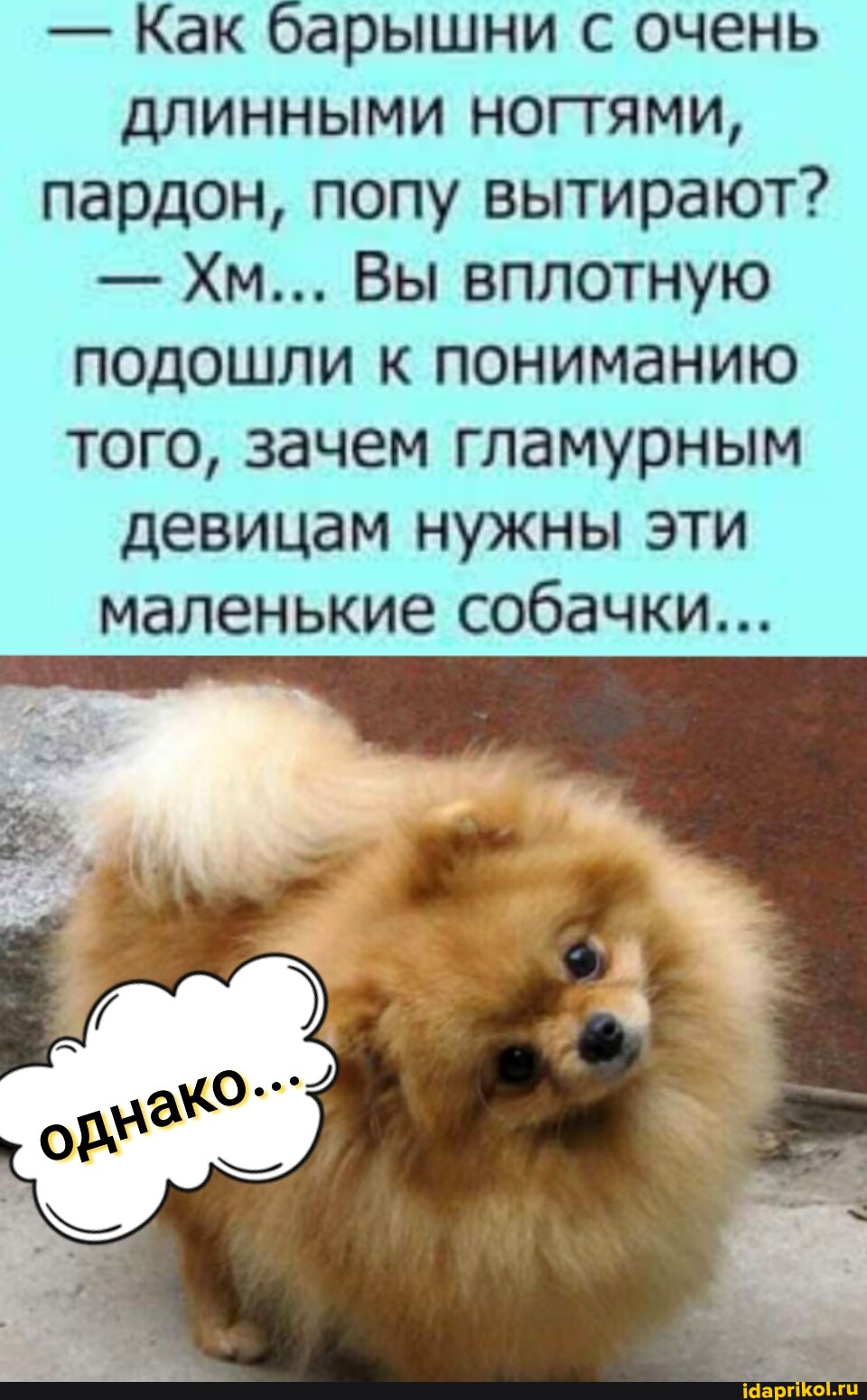 Маленькие попки  