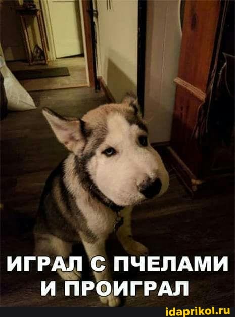 с
и
ПРОИГРАЛ