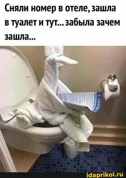 Сняли номер в отеле, зашла в туалет итут...забыла зачем зашла...