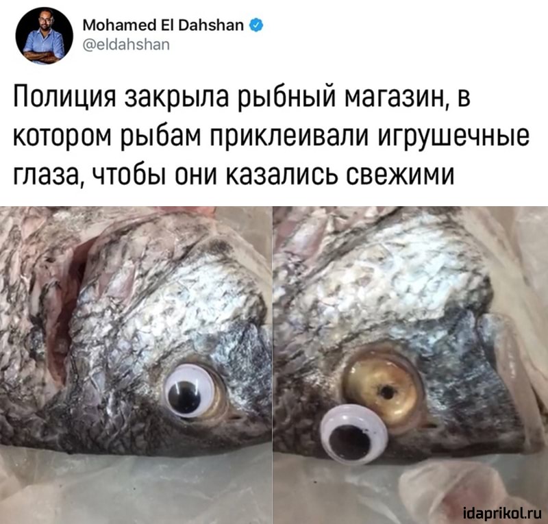 Полиция закрыла рыбный магазин, в
котором рыбам приклеивали игрушечные
глаза, чтобы они казались свежими