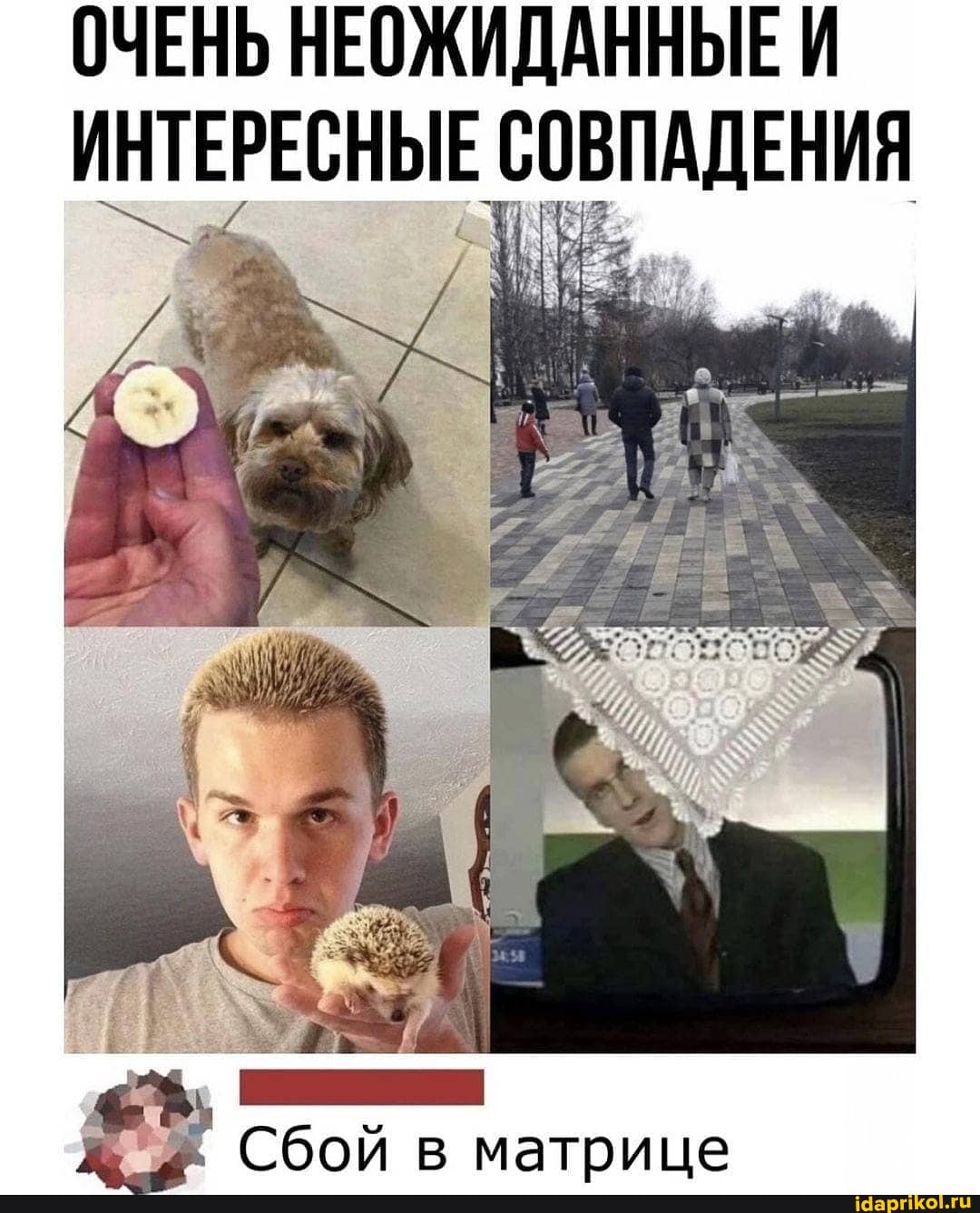 ОЧЕНЬ НЕОЖИДАННЫЕ И ЕРЕСНЫЕ СОВПАДЕНИЯ
Сбой в матрице