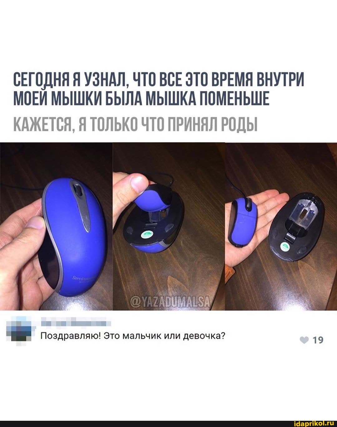 СЕГОДНЯ Я УЗНАЛ, ЧТО ВСЕ ЭТО ВРЕМЯ ВНУТРИ МОЕИ МЫШКИ БЫЛА МЫШКА ПОМЕНЬШЕ
КАЖЕТСЯ, Я ТОЛЬКО ЧТО ПРИНЯЛ РОДЫ
Поздравляю! Это мальчик или девочка? 19