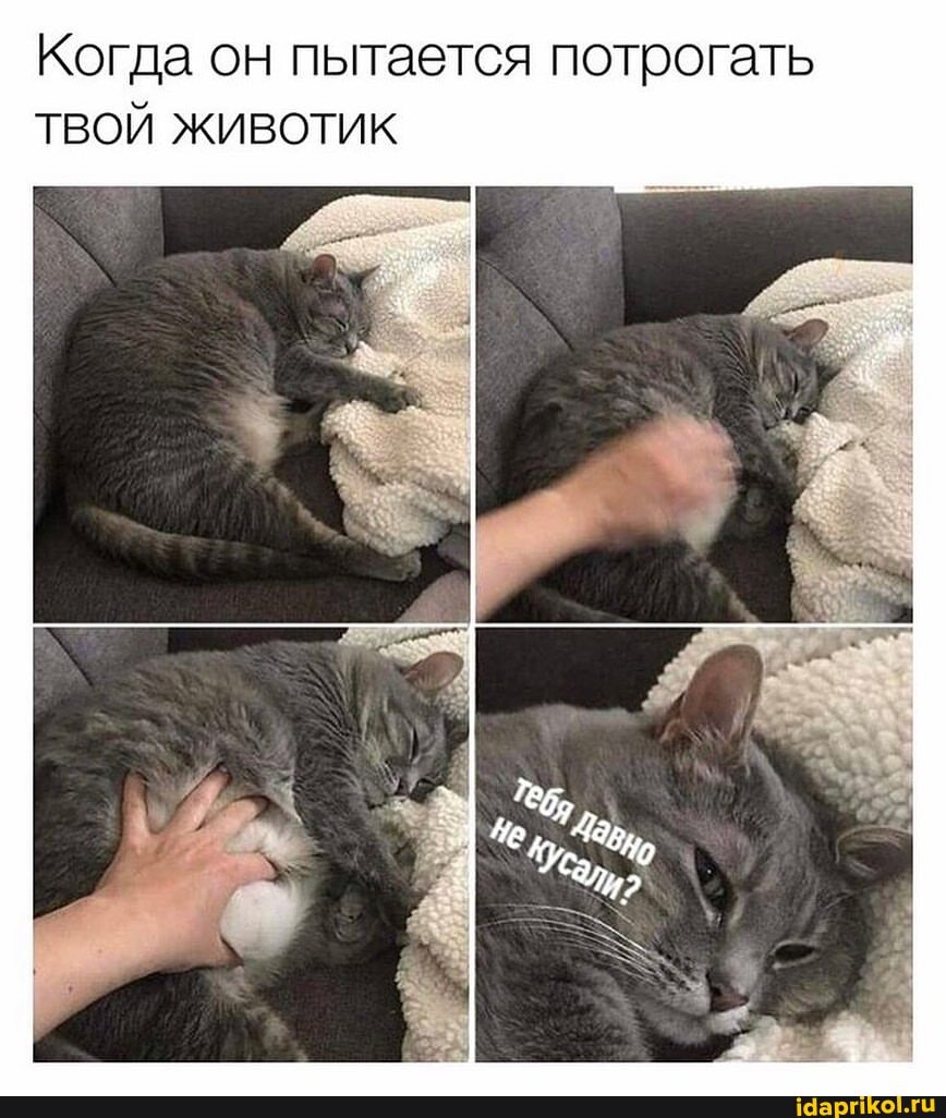 Когда он пытается потрогать
ТВОЙ ЖИВОТИК