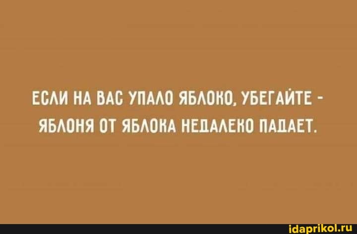 ЕСЛИ НА ВАС УПАЛО ЯБЛОКО, УБЕГАЙТЕ -
ЯБЛОНЯ ОТ ЯБЛОКА НЕПАЛЕКО ПАДАЕТ.