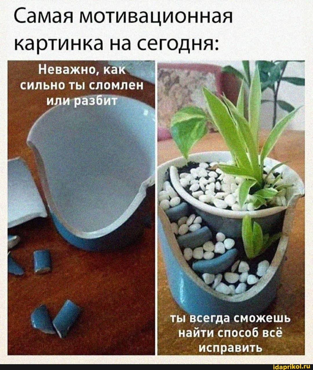 Самая мотивационная
Неважно, как I
сильно ты сломлен
ты всегда сможешь
найти способ всё
исправить