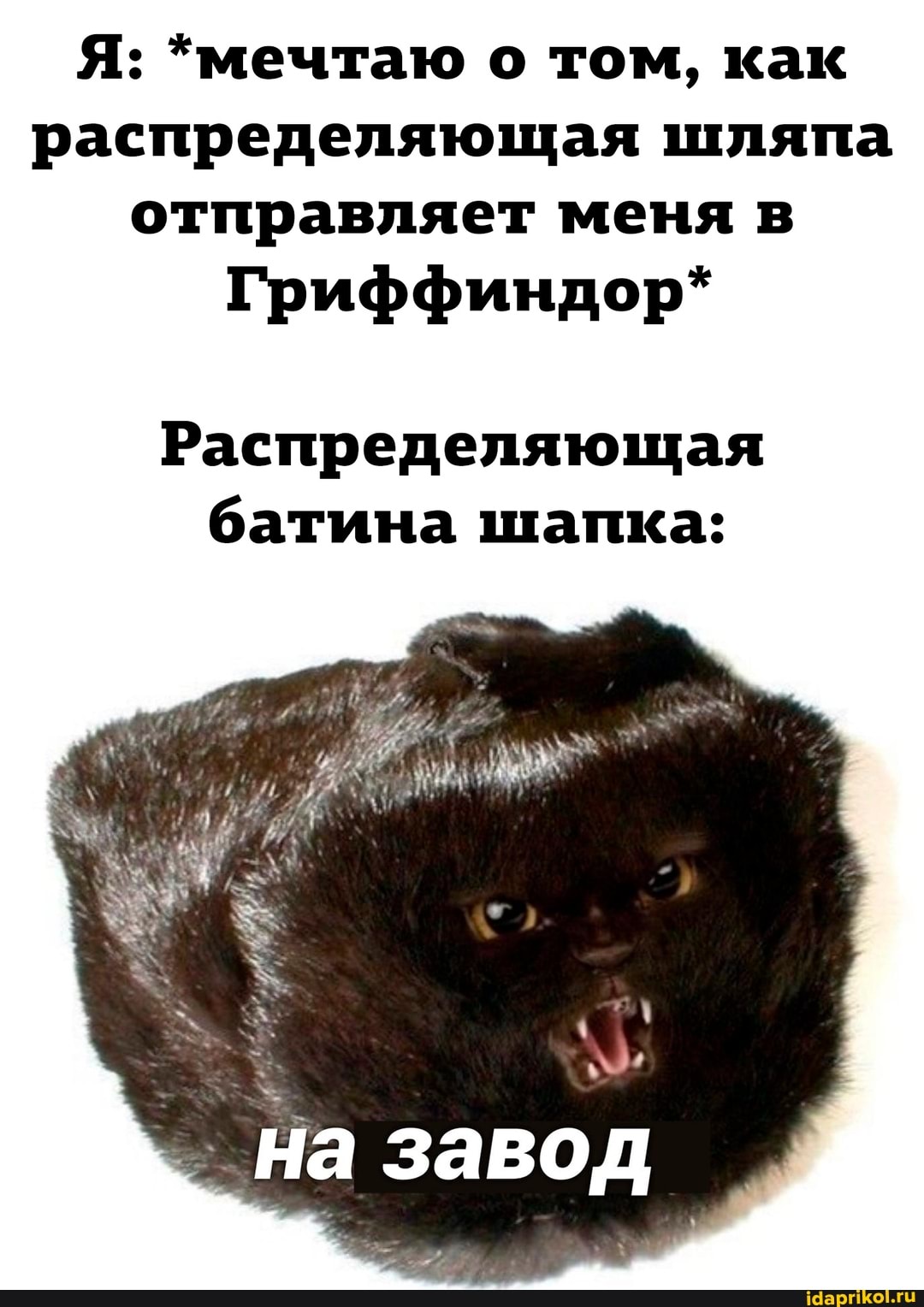 Я: *мечтаю о том, как распределяющая шляпа отправляет меня в
Гриффиндор*
Распределяющая батина шапка:
на завод