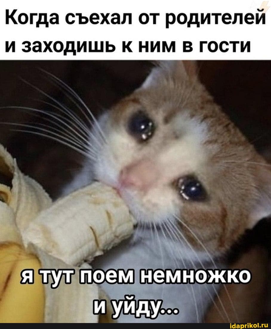 Когда сеехал от родителей
и заходишь к ним в гости
я тут поем немножко и уйду...