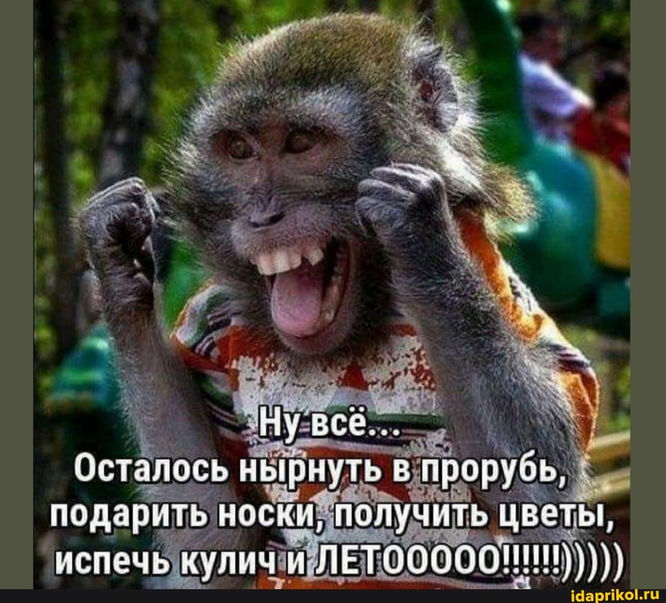 'Ну
Осталось нырнуть прорубь, подарить носки пол` учить цветы,
испечь куличи ЛЕТИ