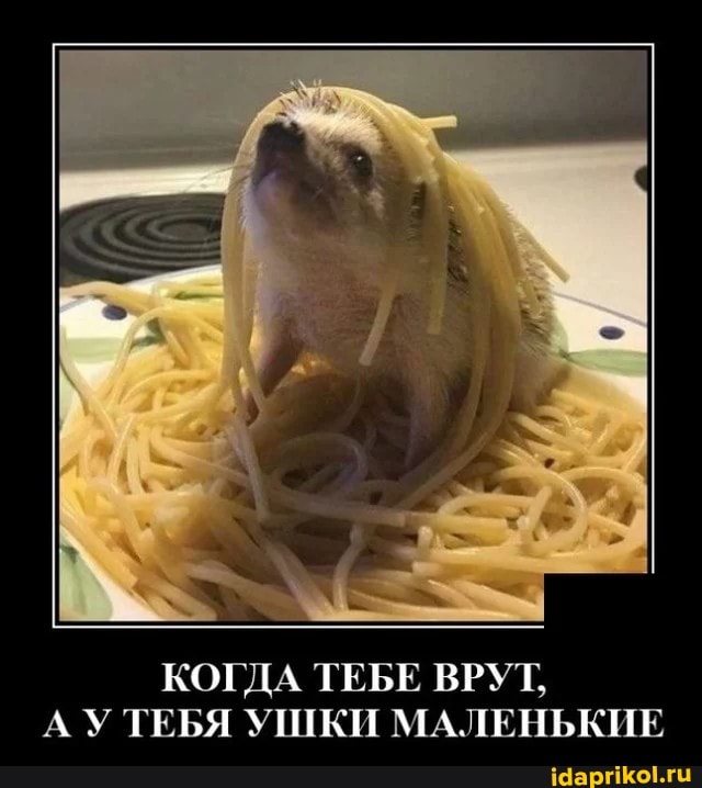 КОГДА ТЕБЕ ВРУТ,
А ТЕБЯ УШКИ МАЛЕНЬКИЕ