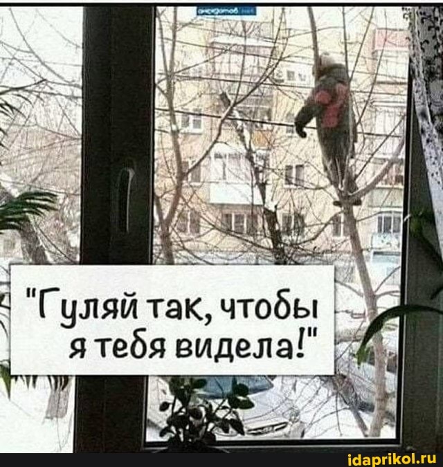 "Гуляй так, чтобы я тебя видела!"