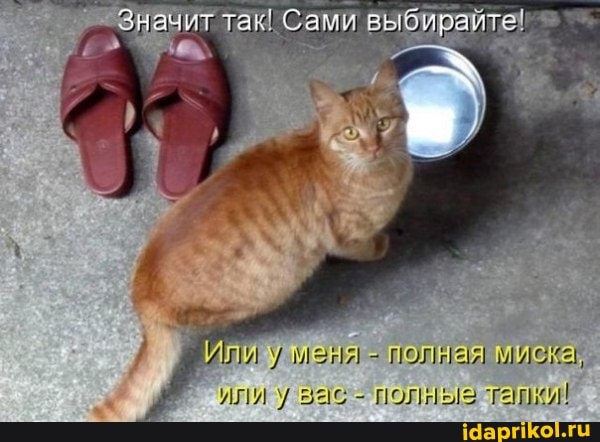 Или у ыеня - полная вас - полные .