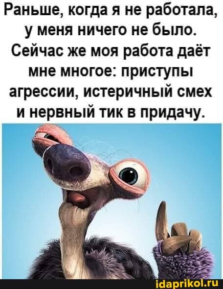 Раньше, когда я не работала, у меня ничего не было.
Сейчас же моя работа даёт мне многое: приступы агрессии, истеричный смех и нервный тик в придачу.