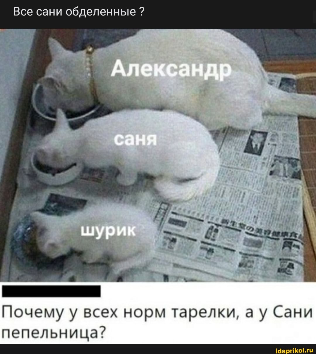 Все сани обделенные ?
Александр
Почему у всех норм тарелки, ау Сани пепельница?