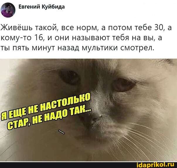 Евгений Куйбида
Живёшь такой, все норм, а потом тебе 30, а кому-то 16, и они называют тебя на вы, а
ты пять минут назад мультики смотрел.