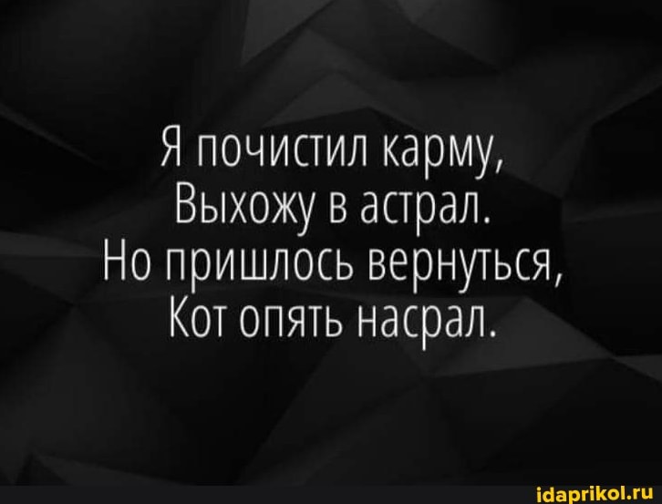 Я почистил карму,
Выхожу в астрал.
Но пришлось вернуться,
Кот опять насрал.