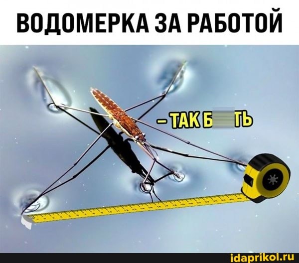 9f35ad10ce6f7f5ff98f59da9f4393195316bf471cc73e99db5a2c229216d41d_1.jpg