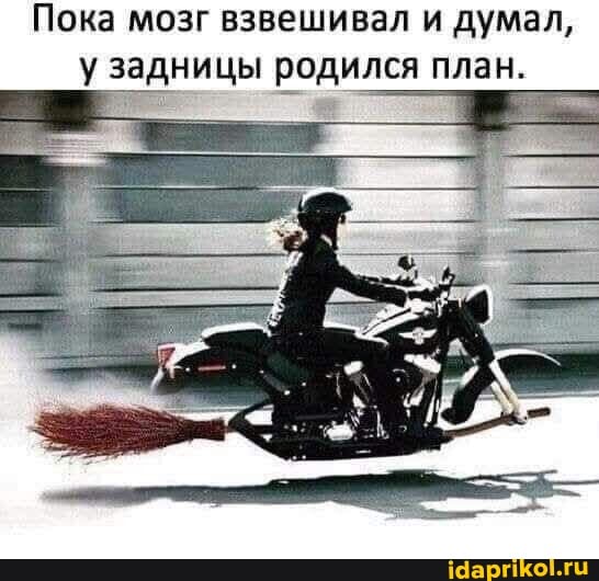 Пока мозг взвешивал и думал, у задницы родился план.