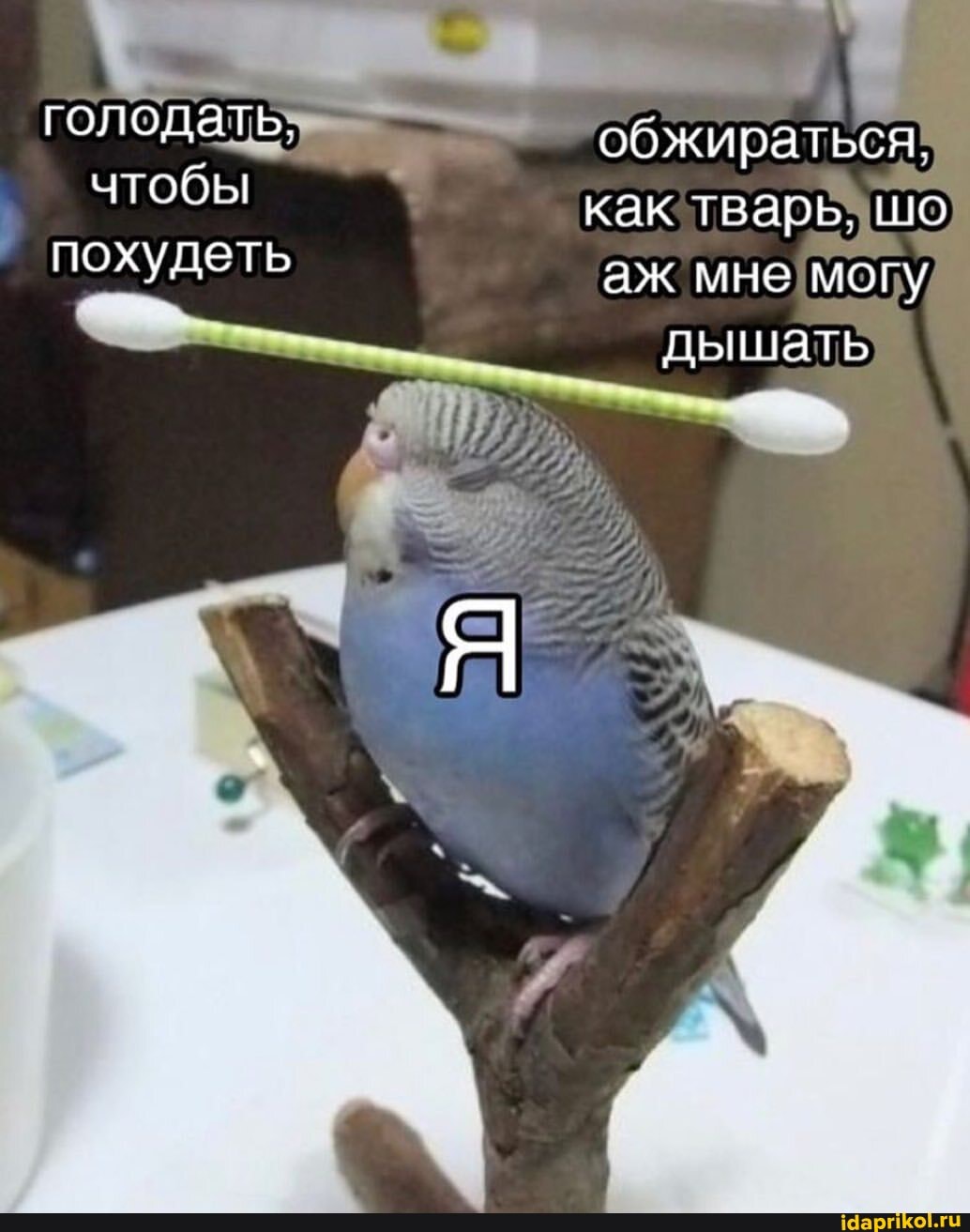 голодать.
чтобы похудеть
обжираться.
как тварь. шо
аж мне могу дышать