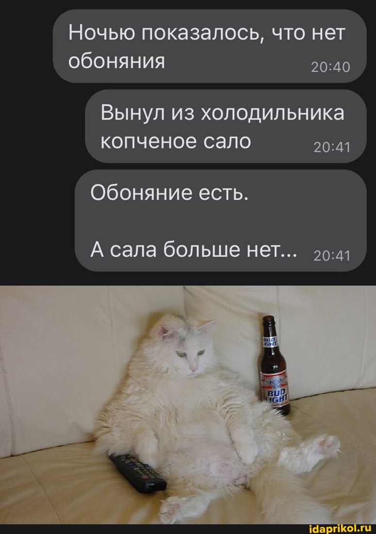 Ночью показалось, что нет обоняния
Вынул из холодильника копченое сало
Обоняние есть.
А сала больше нет...