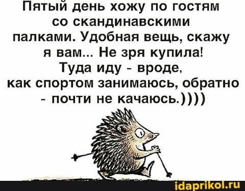 Пятый день хожу по гостям со скандинавскими палками. Удобная вещь, скажу я вам... Не зря купила!
Туда иду - вроде, как спортом занимаюсь, обратно
- почти не качаюсь.))))