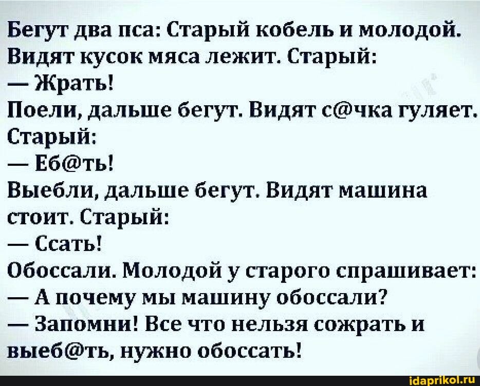 Бегут два пса: Старый кобель и молодой.
Видят кусок мяса лежит. Старый:
- Жрать!
Поели, дальше бегут. Видят гуляет.
Старый:
Выебли, дальше бегут. Видят машина стоит. Старый:
- Ссать!
Обоссали. Молодой у старого спрашивает:
- А почему мы машину обоссали?
- Запомни! Все что нельзя сожрать и нужно обоссать!