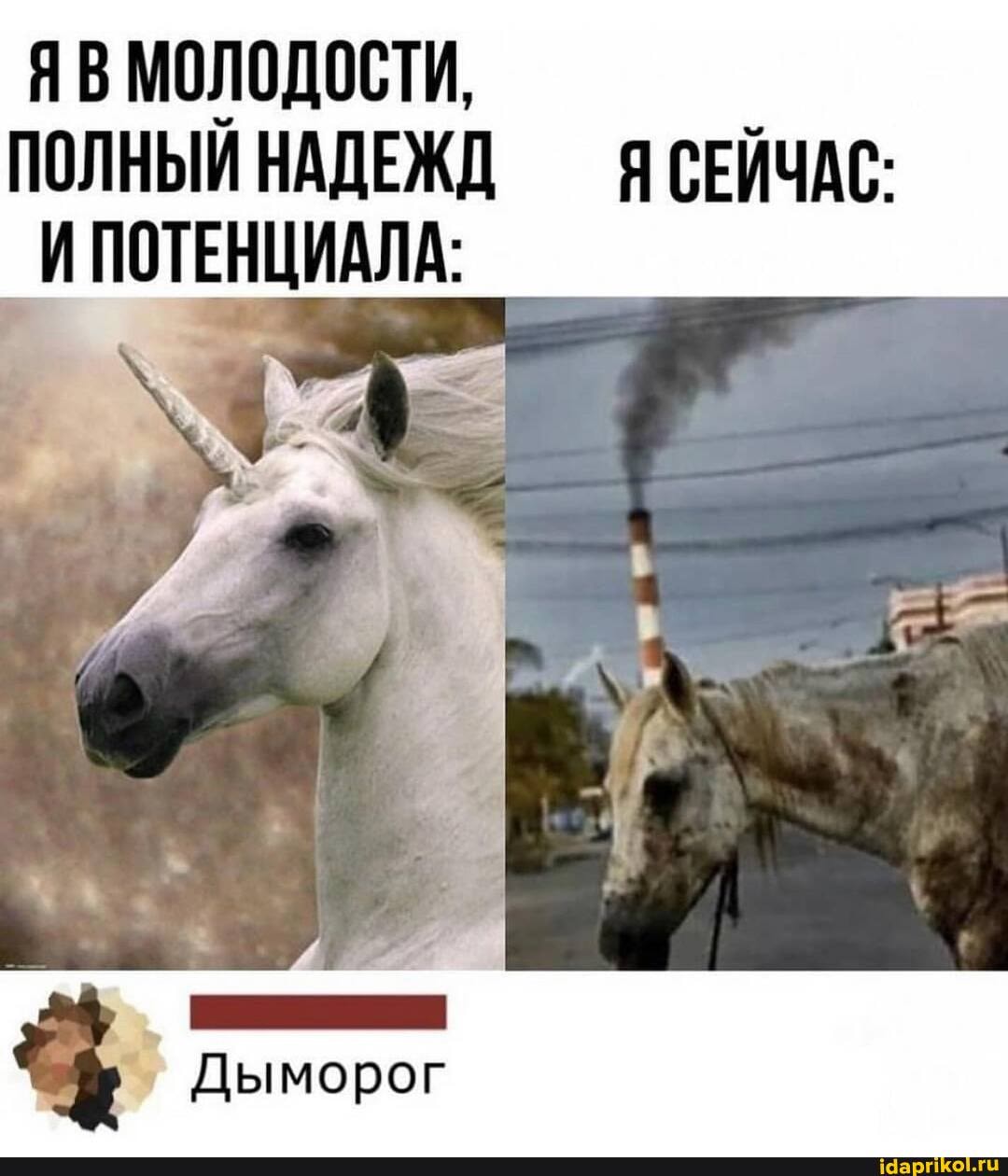 ЯВ МОЛОДОСТИ,
ПОЛНЫЙ НАДЕЖД ЯСЕЙЧАС:
ИПОТЕНЦИАЛА: