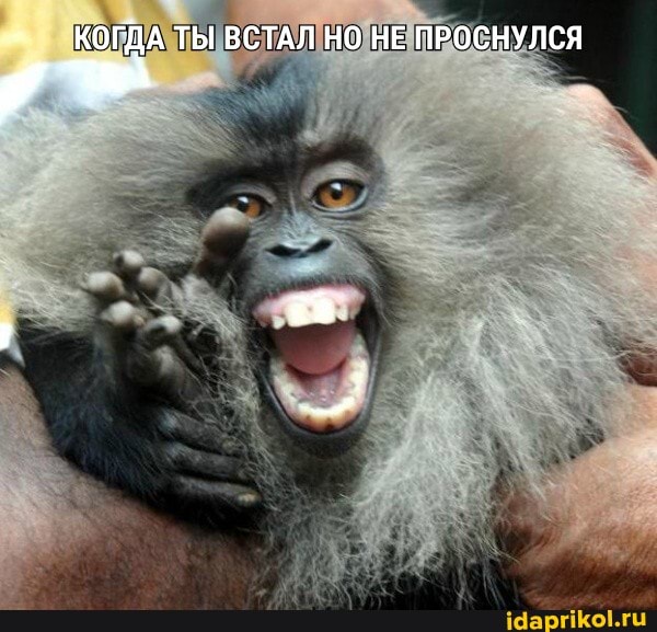 КОГДАТЫ ВСТАЛ НО НЕ ПРОСНУЛСЯ