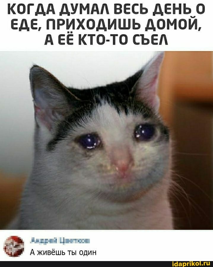 КОГДА ДУМАЛ ВЕСЬ ДЕНЬ ЕДЕ, ПРИХОДИШЬ ДОМОЙ,
А ЕЁ КТО-ТО СЪЕЛ
ВЕЕрИЯ Циветоси живёшь ты один