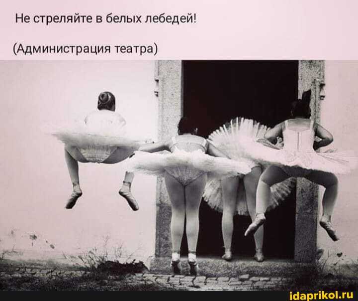 Не стреляйте в белых лебедей!
(Администрация театра)