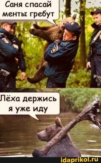 Саня спасай менты гребут