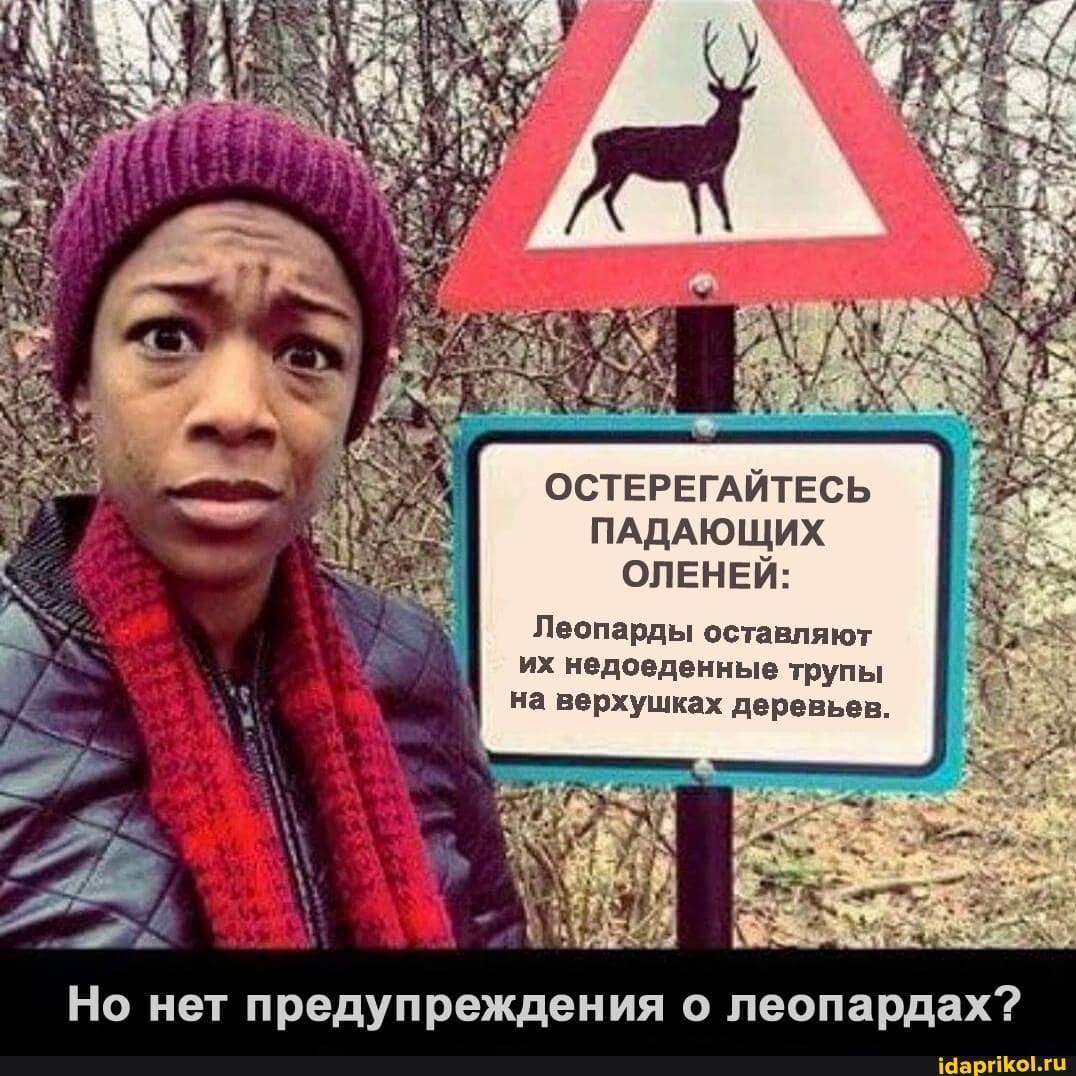 ОСТЕРЕГАЙТЕСЬ ПАДАЮЩИХ ОЛЕНЕЙ:
Леопарды оставляют их недоеденные трупы на верхушках деревьев.
Но нет предупреждения о леопардах?