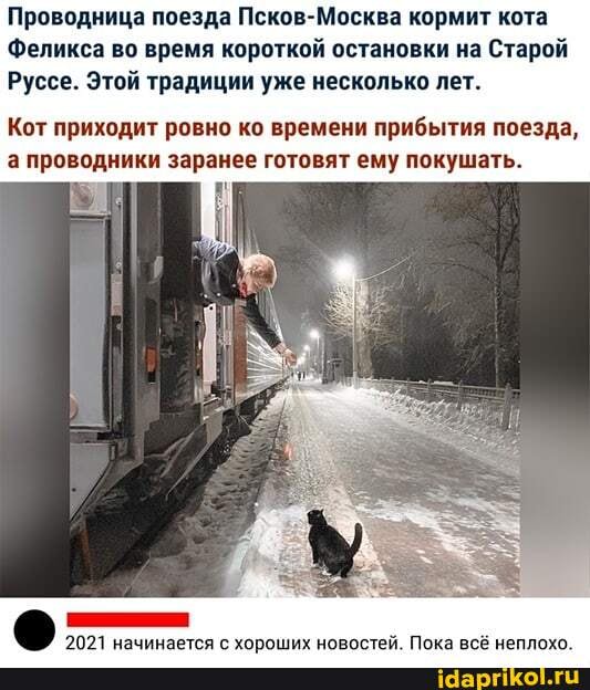 Проводница поезда Псков-Москва кормит кота
Феликса во время короткой остановки на Старой
Руссе. Этой традиции уже несколько лет.
Кот приходит ровно ко времени прибытия поезда, а проводники заранее готовят ему покушать.