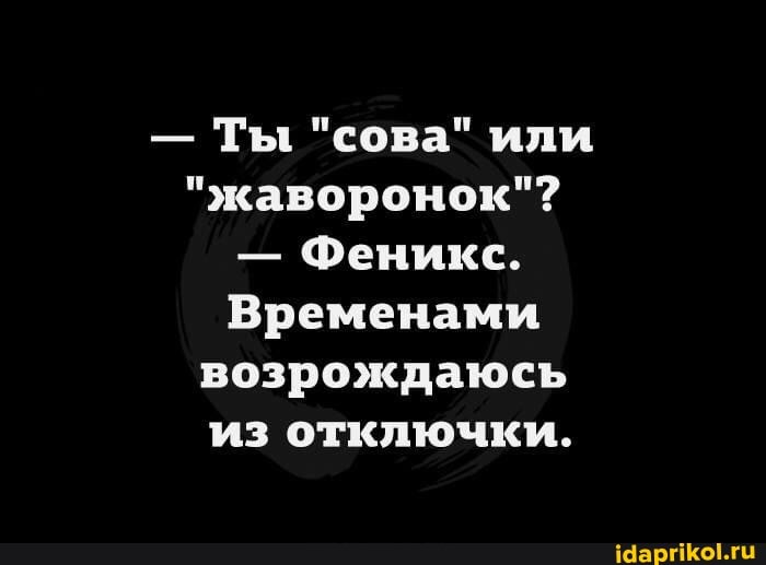 - Ты "сова" или
"жаворонок"?
- Феникс.
Временами возрождаюсь
из отключки.