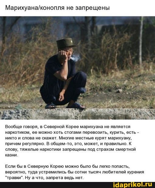 не запрещены
Вообще говоря, в Северной Корее марихуана не является наркотиком, ее можно хоть стогами перевозить, курить, есть - никто и слова не скажет. Многие местные курят марихуану, причем регулярно. В общем-то, это, может, и правильно. К слову, тяжелые наркотики запрещены под страхом смертной казни
Если бы в Северную Корею можно было бы легко попасть, вероятно, туда устремились бы сотни тысяч любителей курения
"травки". Ну а что, запрета ведь нет.