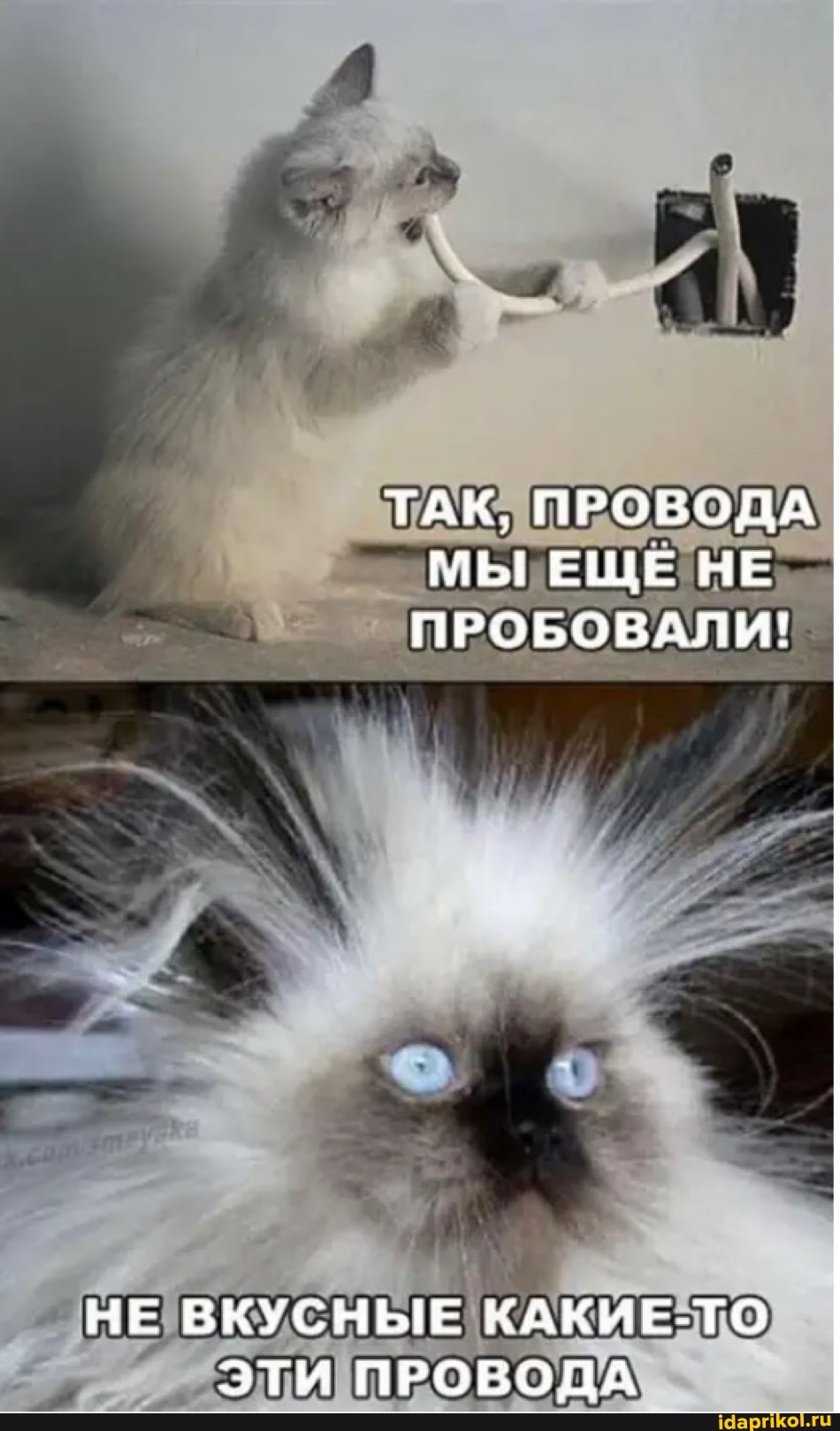 ТАК, ПРОВОДА мы ЕЩЕ НЕ ПРОБОВАЛИ!
НЕ ВКУСНЫЕ КАКИЕ ЭТИ ПРОВОДА
