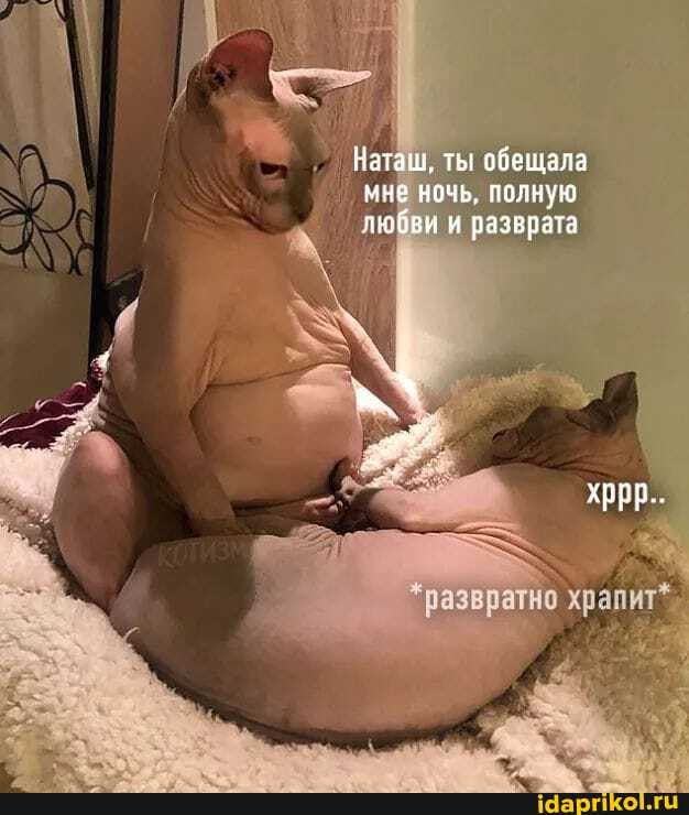 Наташ, ты обещала мне ночь, полную любви и разврата
